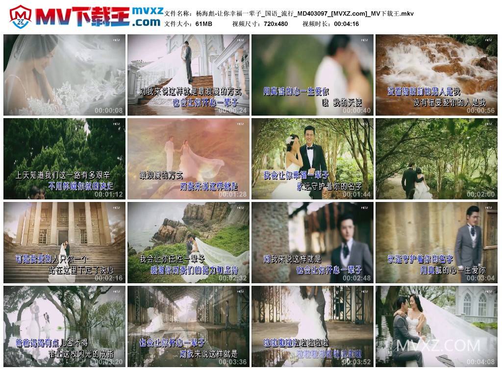 杨海彪-让你幸福一辈子_国语_流行_MD403097